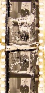 Rotting Film